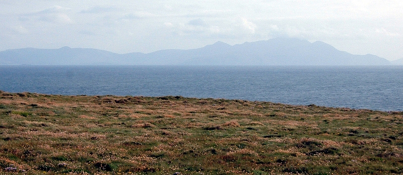 Loop Head 3.JPG